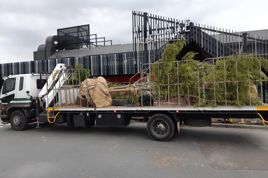Albany Creek Village — crane installing advanced palm trees during the build